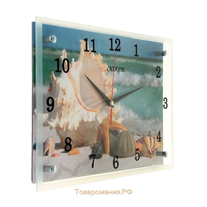 Часы-картина настенные, серия: Море, "Ракушки", 30х20 см