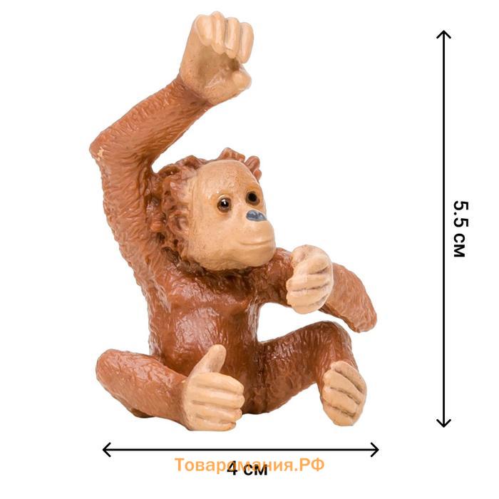 Набор фигурок «Мир диких животных: семья орангутангов», 4 предмета