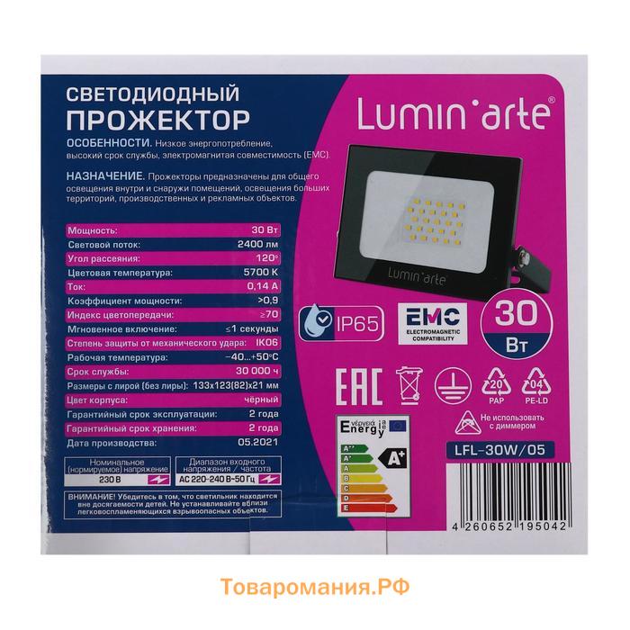 Прожектор светодиодный Luminarte LFL-30W/05, 30 Вт, 5700 К, 2400 Лм, IP65, черный