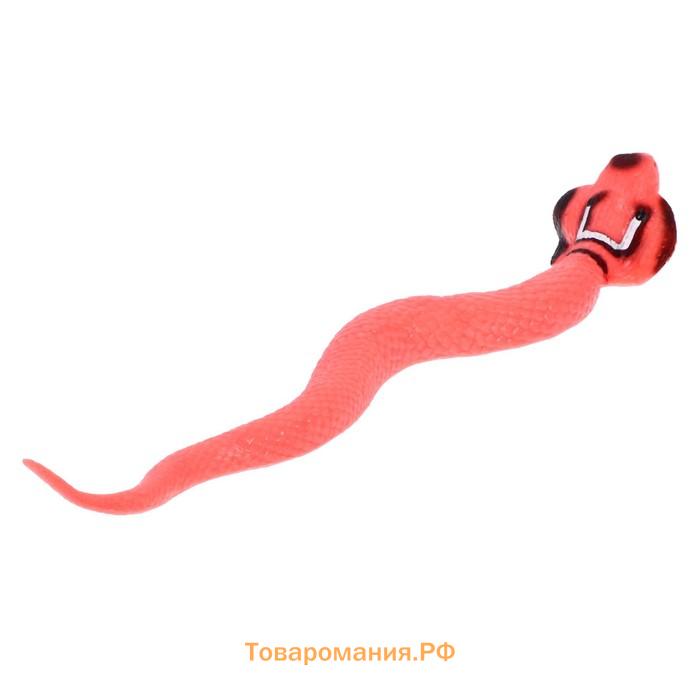 Игрушка-тянучка «Змея», МИКС