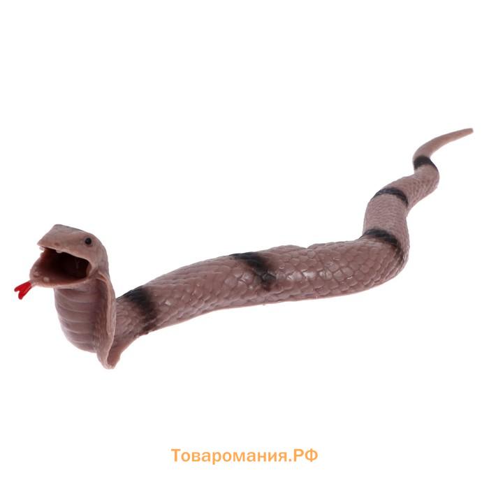 Игрушка-тянучка «Змея», МИКС