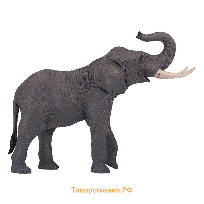 Фигурка Konik «Африканский слон, самец»