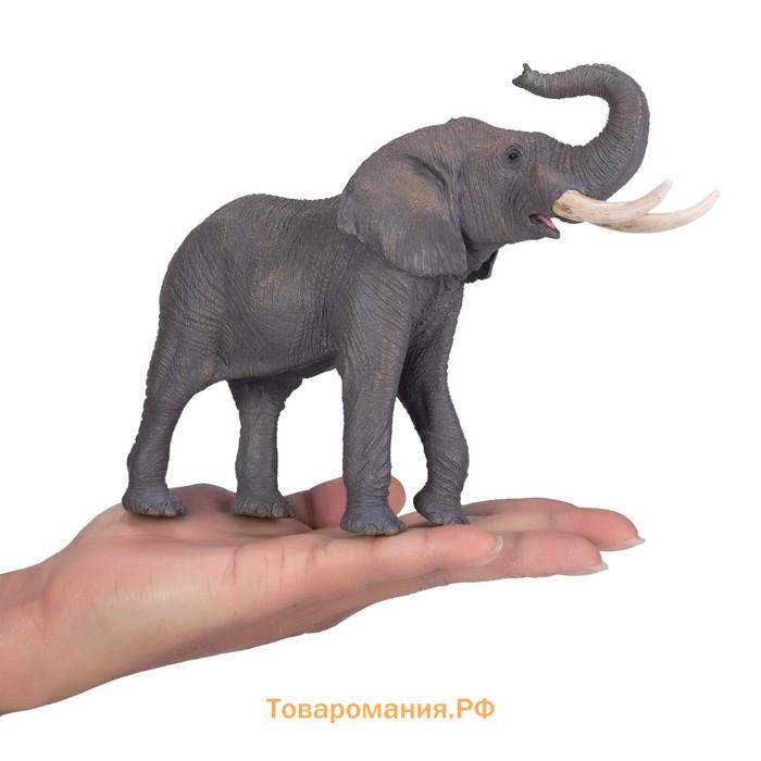 Фигурка Konik «Африканский слон, самец»