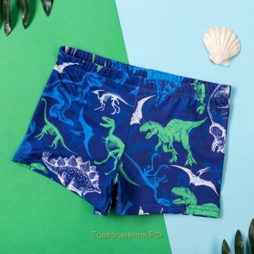 Плавки купальные для мальчика KAFTAN "Динозавры" рост 122-128 (34), цвет синий