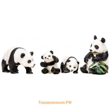 Набор фигурок «Мир диких животных: семья панд», 4 предмета